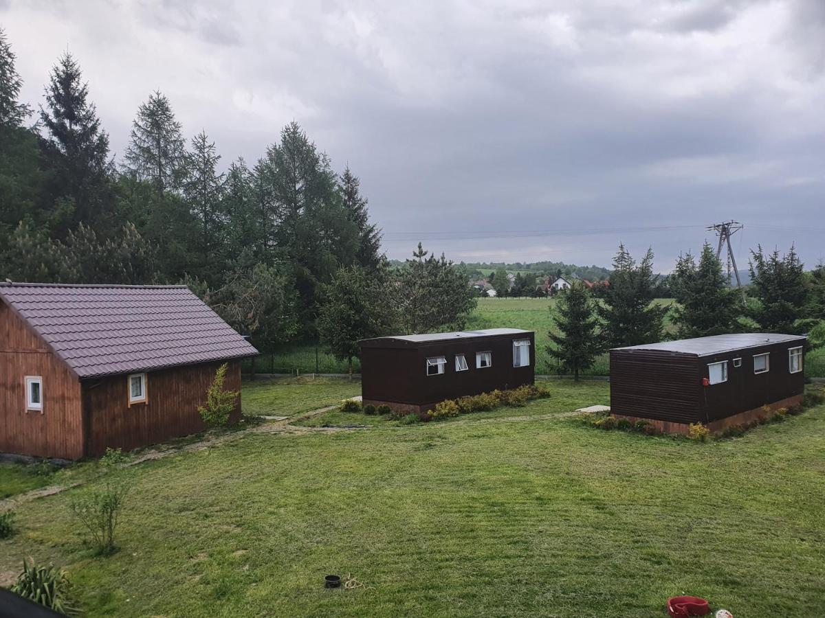 Domki Bieszczady Villa Uherce Mineralne Ngoại thất bức ảnh