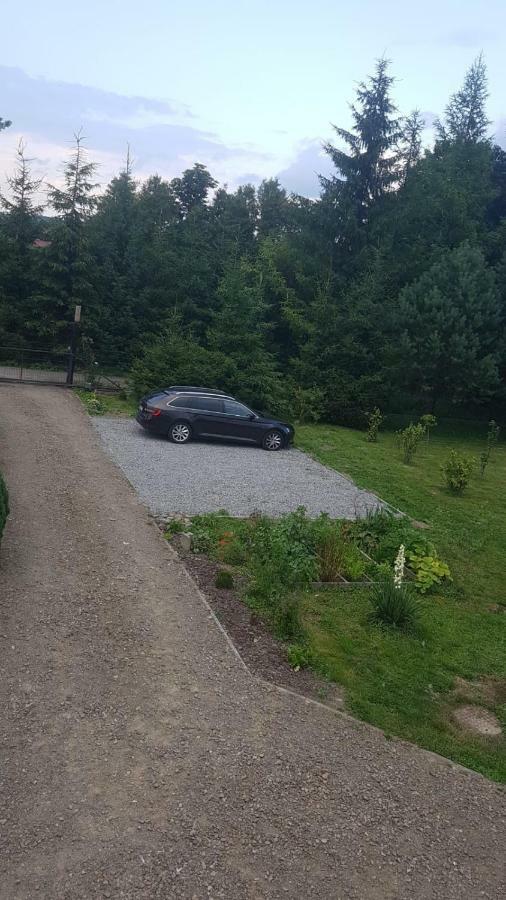 Domki Bieszczady Villa Uherce Mineralne Ngoại thất bức ảnh